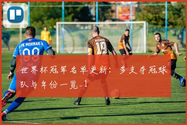 世界杯冠军名单更新：多支夺冠球队与年份一览_1